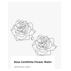 rosa centifolia cleansing